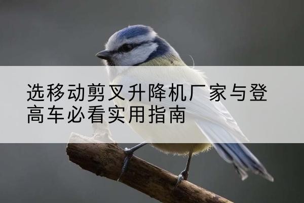 乌鲁木齐电动升降机厂家-选移动剪叉升降机厂家与登高车必看实用指南
