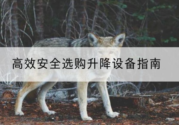 乌鲁木齐升降货梯厂家推荐-*安全选购升降设备指南